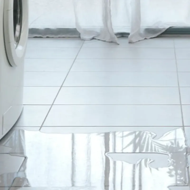 Appliance Leak Cleanup in Kendall Park, NJ